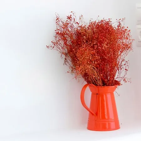 斯潘纳里斯酒店 Mykonos Town