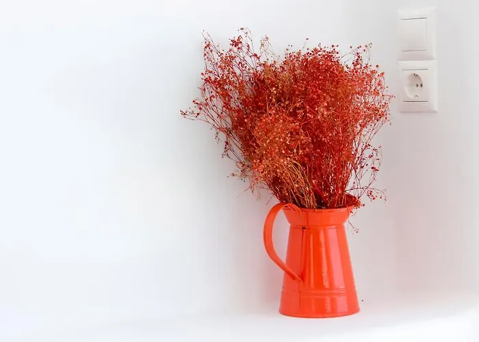 Spanelis Mykonos Town