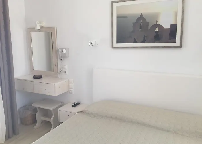 斯潘纳里斯酒店 2* Mykonos Town